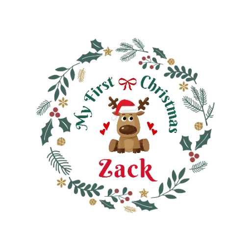 Custom Christmas Ornament 2024 Series 2 21