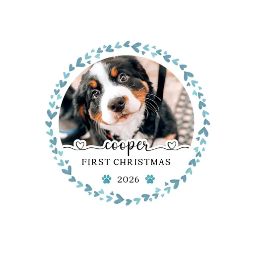 Custom Pet Photo Ornament 2026-04