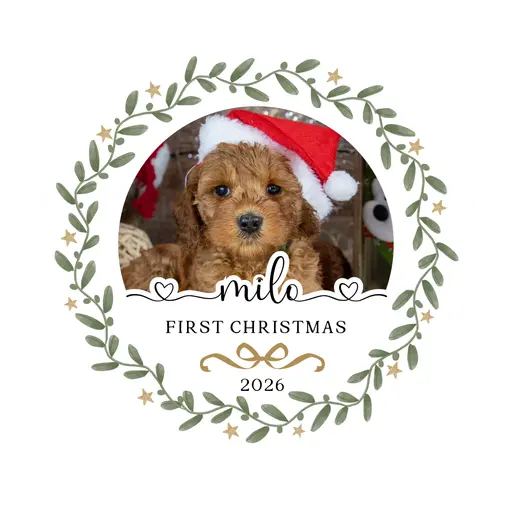 Custom Pet Photo Ornament 2026-05