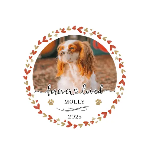 Custom Photo Ornament 2025 02 - Terracotta Hearts