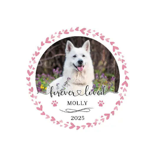 Custom Photo Ornament 2025 03 - Pink Hearts