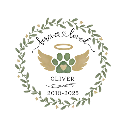 DPR-CustomOrnament202515