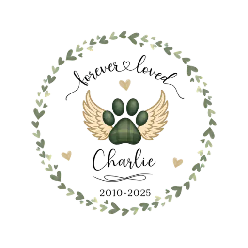DPR-CustomOrnament202516