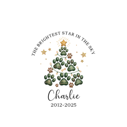 DPR-CustomOrnament202518