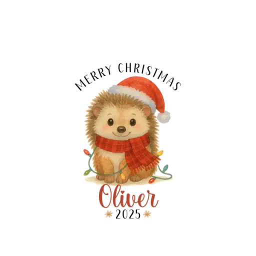 DPR-XmasOrnament202517